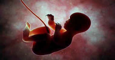 كيف يحدث الحمل و ما هي مراحل