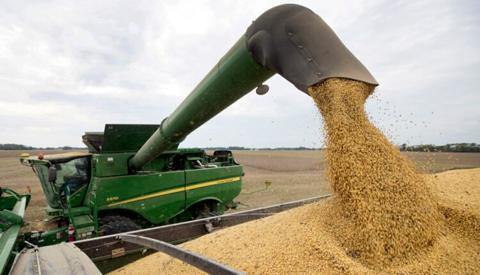 الجزائر تُسجل رقما قياسيا في واردات القمح