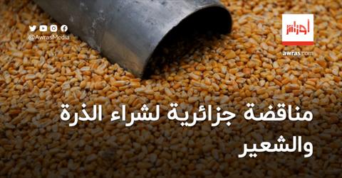 الجزائر تطرح مناقصة دولية لشراء الذرة والشعير