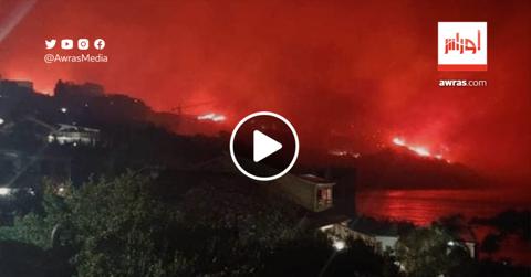 بالفيديو.. نشوب حريق مهول بإحدى غابات بجاية