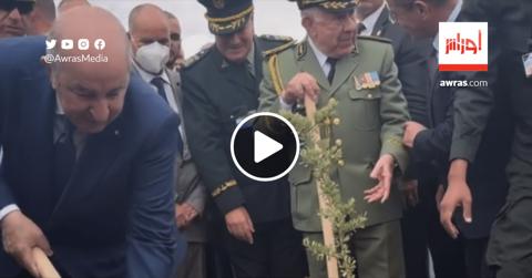فيديو| الرئيس تبون يُعطي شارة انطلاق إعادة بعث