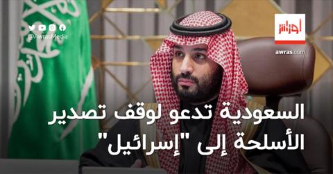 بالفيديو | السعودية تدعو لوقف تصدير الأسلحة نحو