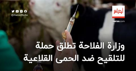 وزارة الفلاحة تطلق حملة وطنية للتلقيح ضد الحمى