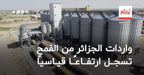 تقرير أمريكي يكشف.. واردات الجزائر من القمح