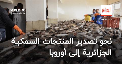 نحو تصدير المنتجات السمكية الجزائرية إلى أوروبا