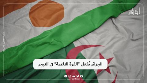 الجزائر تُفعل “القوة الناعمة” في النيجر