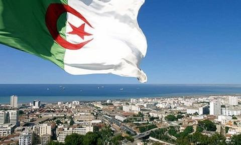 تعتمد على 6 مبادئ.. الجزائر تكشف سياستها