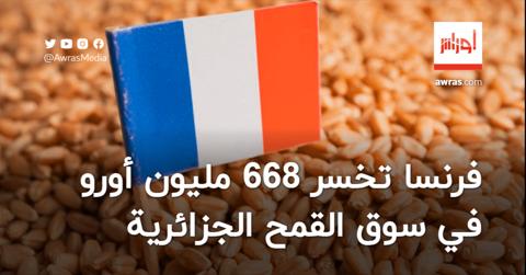 فرنسا تخسر 668 مليون أورو في سوق القمح الجزائرية