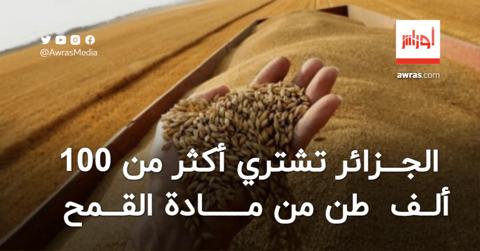 الجزائر تشتري أكثر من 100 ألف طن من القمح الصلب