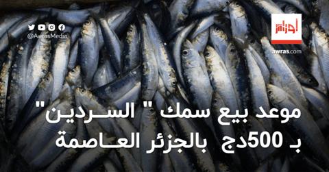 لأول مرة في رمضان.. انطلاق عملية بيع سمك