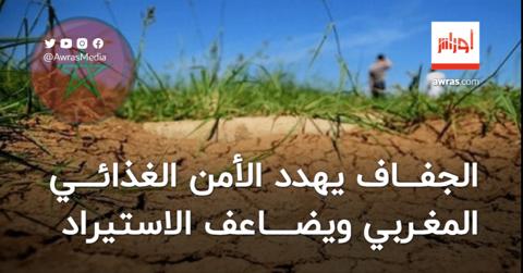 المغرب.. الجفاف يهدد الأمن الغذائي للمملكة