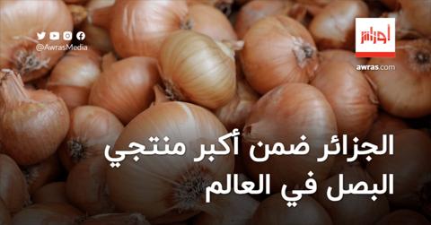 الجزائر ضمن أكبر منتجي البصل في العالم