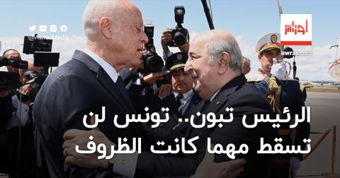 بالفيديو.. الرئيس تبون يؤكد أن تونس لن تسقط