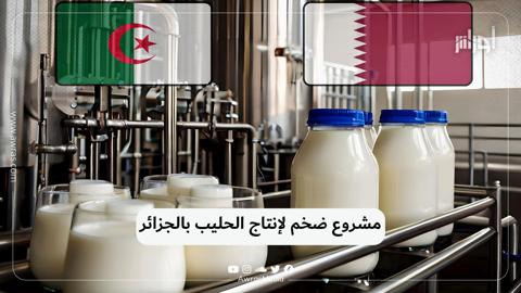 مشروع ضخم لإنتاج الحليب بالجزائر