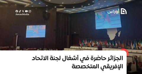 الجزائر حاضرة في أشغال لجنة الاتحاد الإفريقي