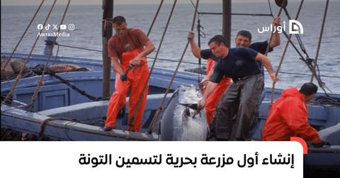 إنشاء أول مزرعة بحرية لتسمين التونة في الجزائر