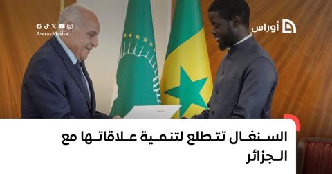 السنغال تتطلع لتنمية علاقاتها مع الجزائر