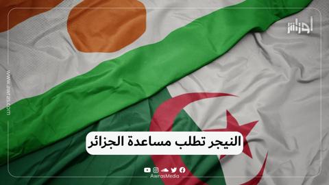 النيجر تطلب مساعدة الجزائر