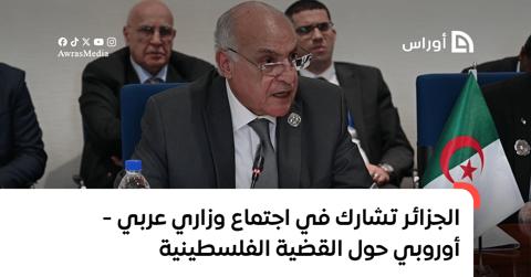 الجزائر تشارك في اجتماع وزاري عربي-أوروبي حول