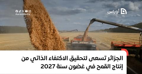 في غضون سنة 2027.. الجزائر تسعى لتحقيق الاكتفاء