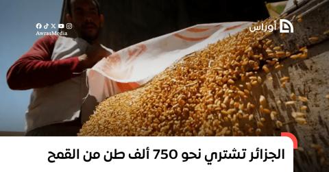 الجزائر تشتري نحو 750 ألف طن من القمح