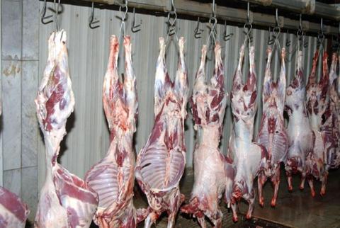 وصول شحنات معتبرة من اللحوم الحمراء إلى الجزائر