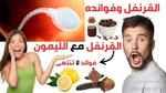 استكشف فوائد الشوفان المدهشة!