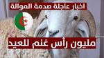 استيراد الأضاحي لعيد الأضحى المبارك
