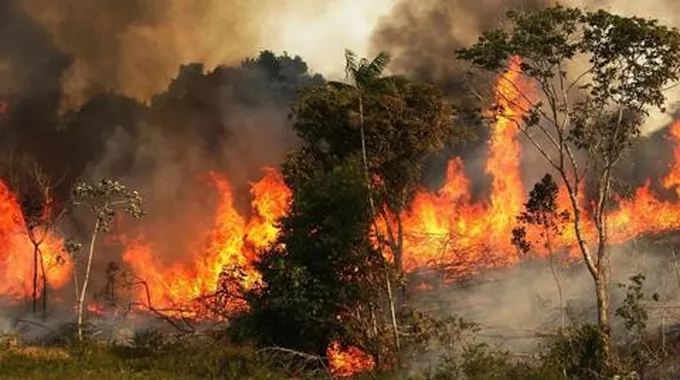 المغرب تعزّي الجزائر في ضحايا الحرائق