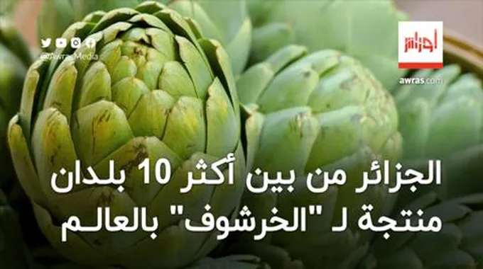 الجزائر من بين أكثر 10 بلدان منتجة لـ “الخرشف”