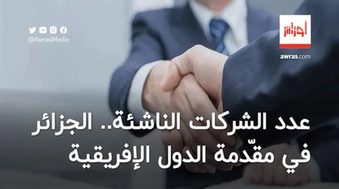 عدد الشركات الناشئة.. الجزائر في مقّدمة الدول