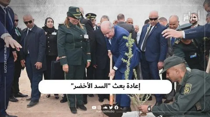 إعادة بعث “السد الأخضر”