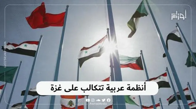 أنظمة عربية تتكالب على غزة