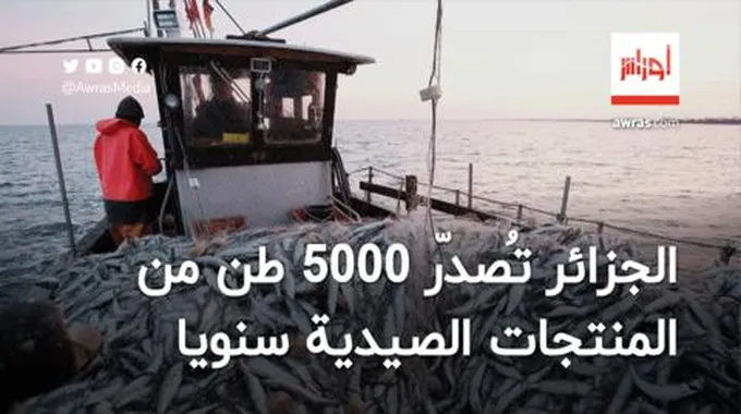 الجزائر تُصدّر 5000 طن من المنتجات الصيدية سنويا