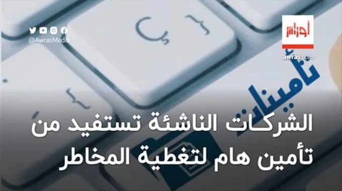 الشركات الناشئة تستفيد من تأمين هام لتغطية