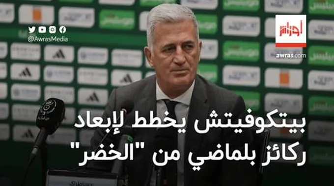 بيتكوفيتش يخطط لإبعاد ركائز بلماضي من المنتخب