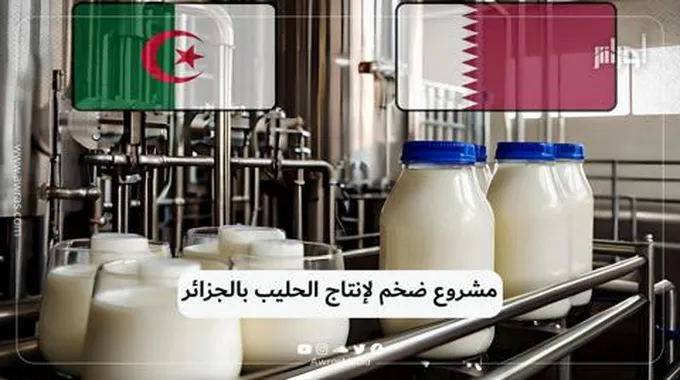 مشروع ضخم لإنتاج الحليب بالجزائر