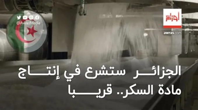 الرئيس تبون: الجزائر ستشرع في إنتاج مادة السكر