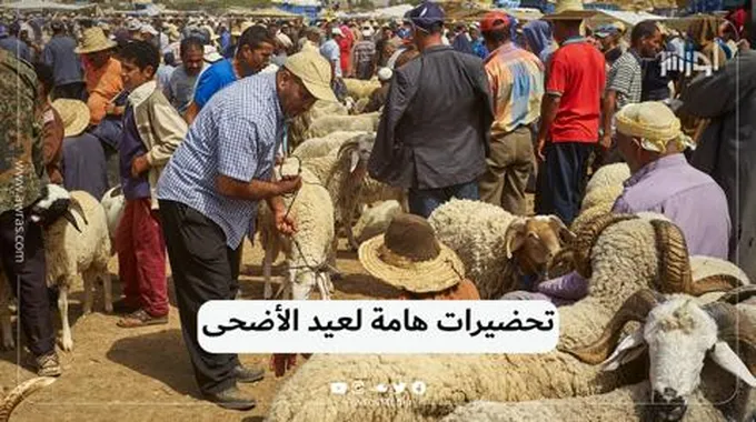 تحضيرات هامة لعيد الأضحى