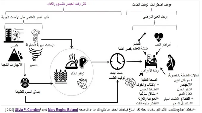 تأثير الحمل على صحة القلب