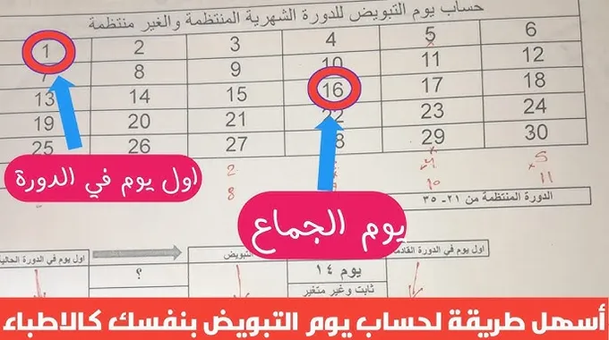 تحديد أيام الإباضة بسهولة وبدقة