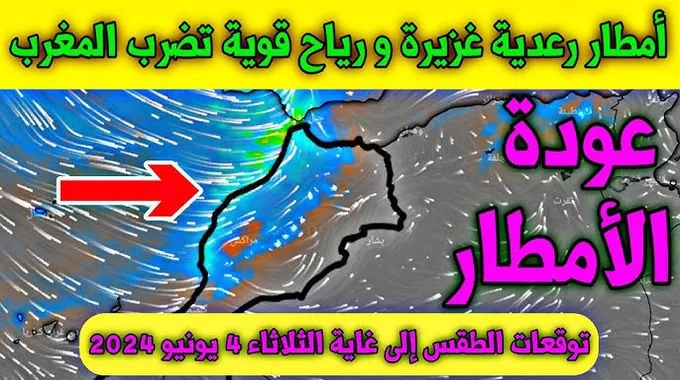 توقعات طقس اليوم: أمطار رعدية ورياح قوية