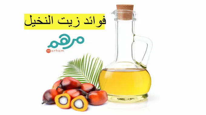 دليل شامل لفهم النحافة وعلاجها