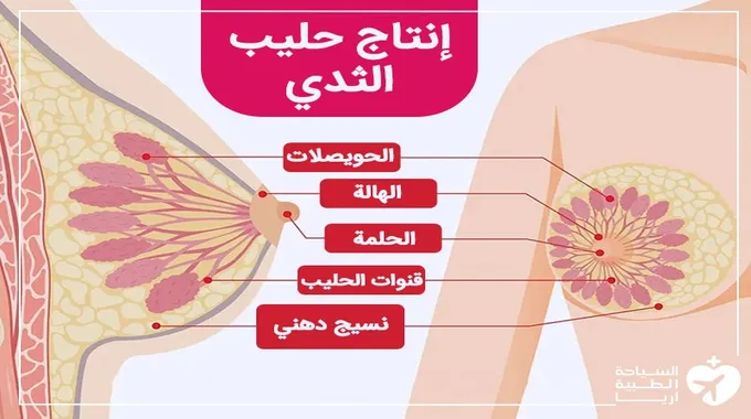 طرق فعالة للتخلص من حليب الثدي