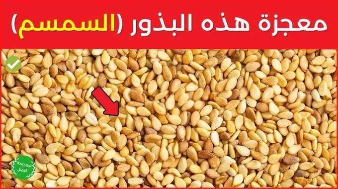 فوائد السمسم الصحية للجسم والشعر