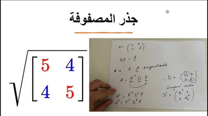 منحة Thatcher للباكالوريوس و الماستر من جامعة